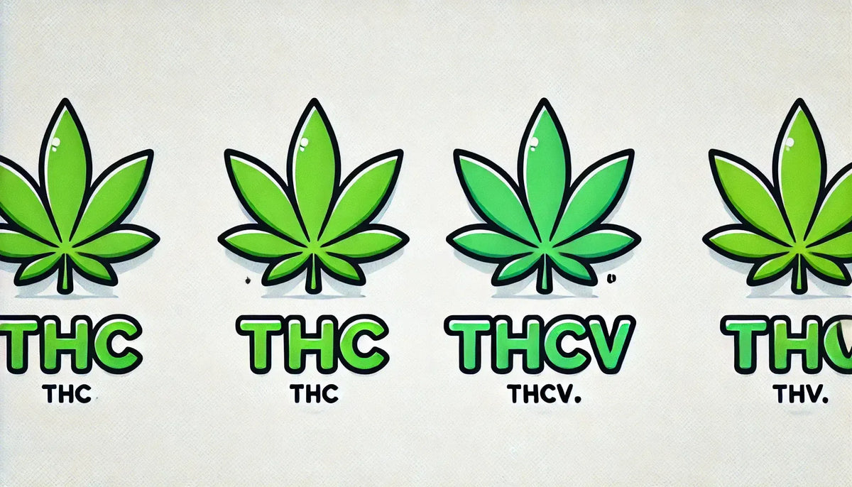 Lettrage « THC vs THCv » avec des feuilles de cannabis dans un style bande dessinée.