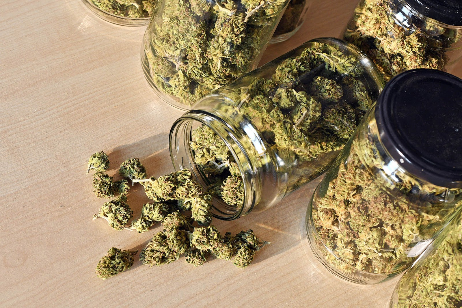 How to Store Cannabis / Cannabinoid Products for Maximum Freshness & Potency
