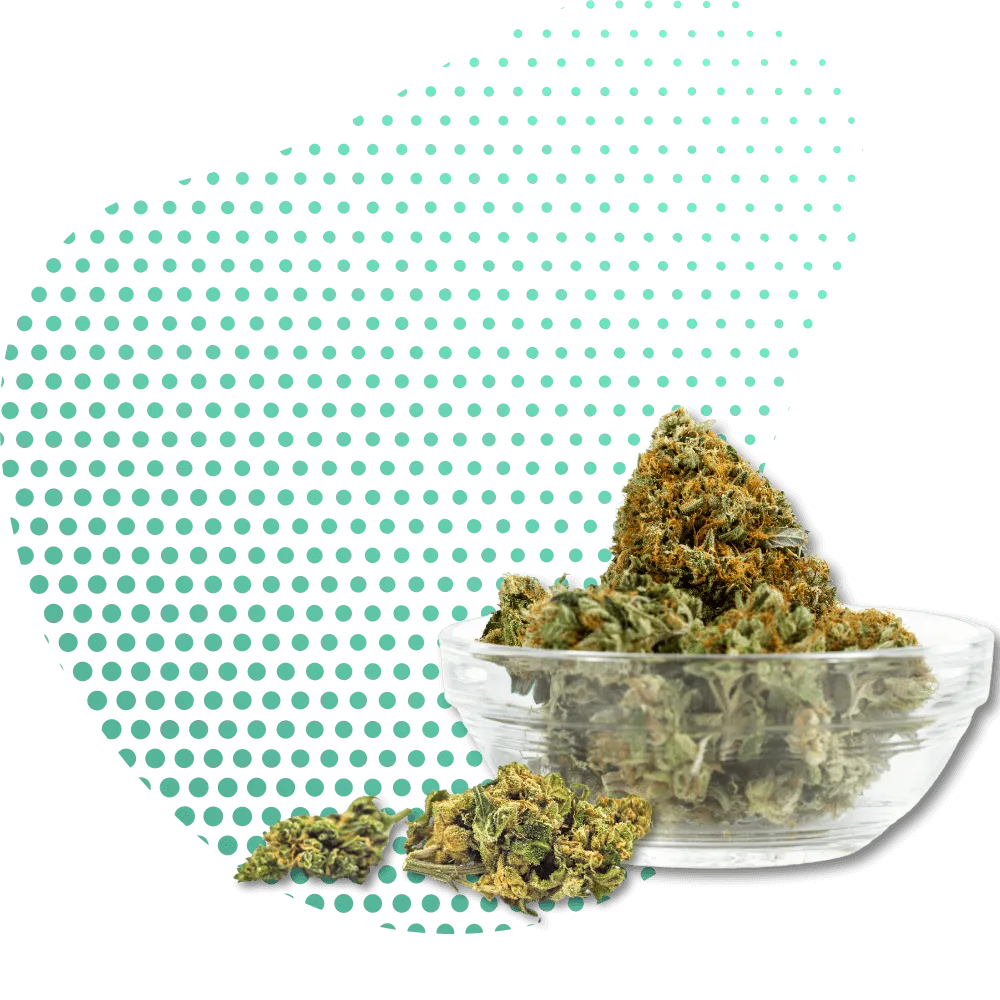 Fleurs 10-OH-HHC-Canapuff