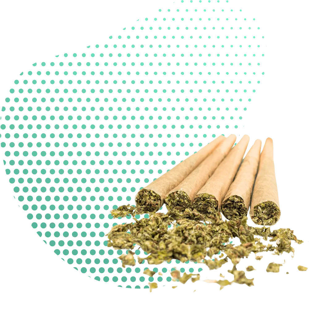 THC-B 10-OH Joints-Canapuff