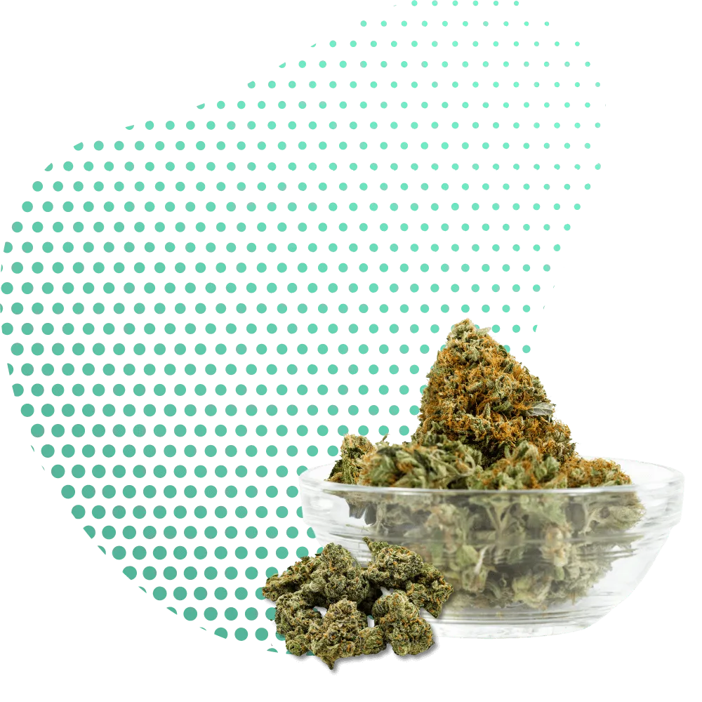 THC-PO Bloemen-Canapuff