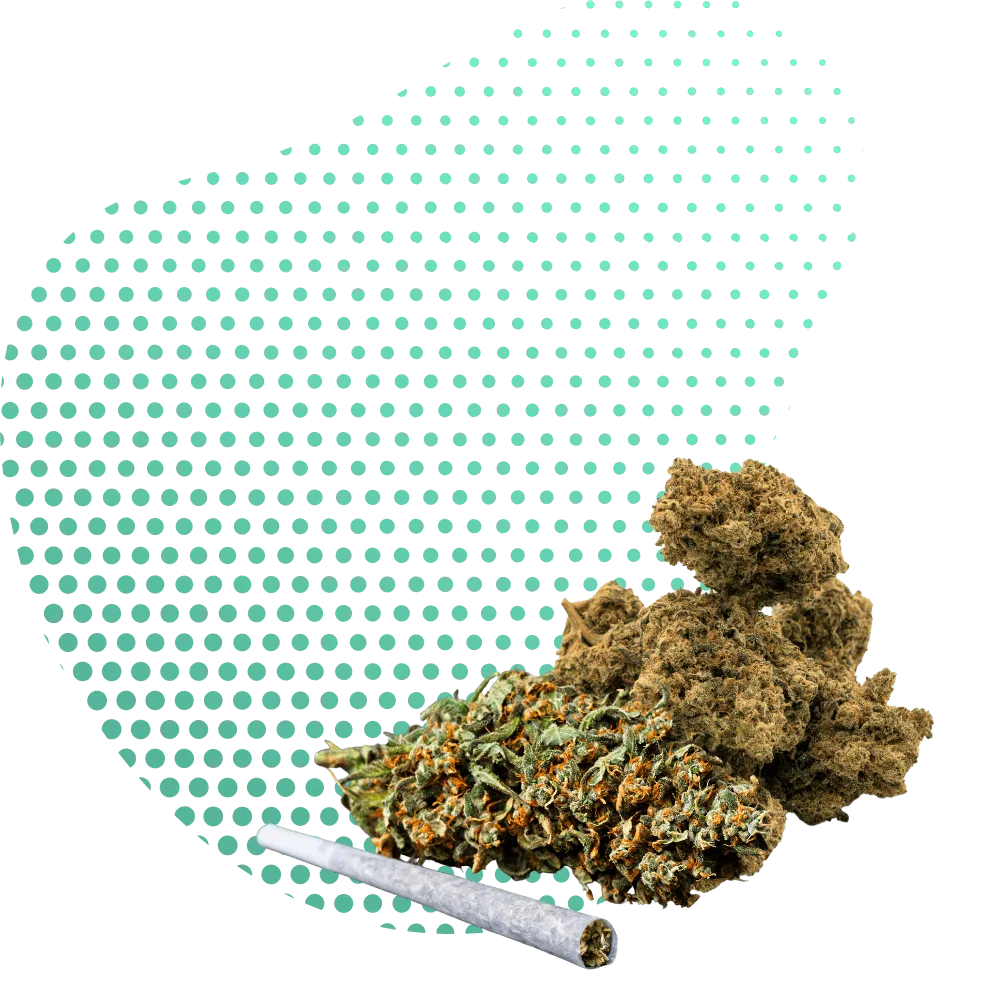 THP420 Bloemen-Canapuff