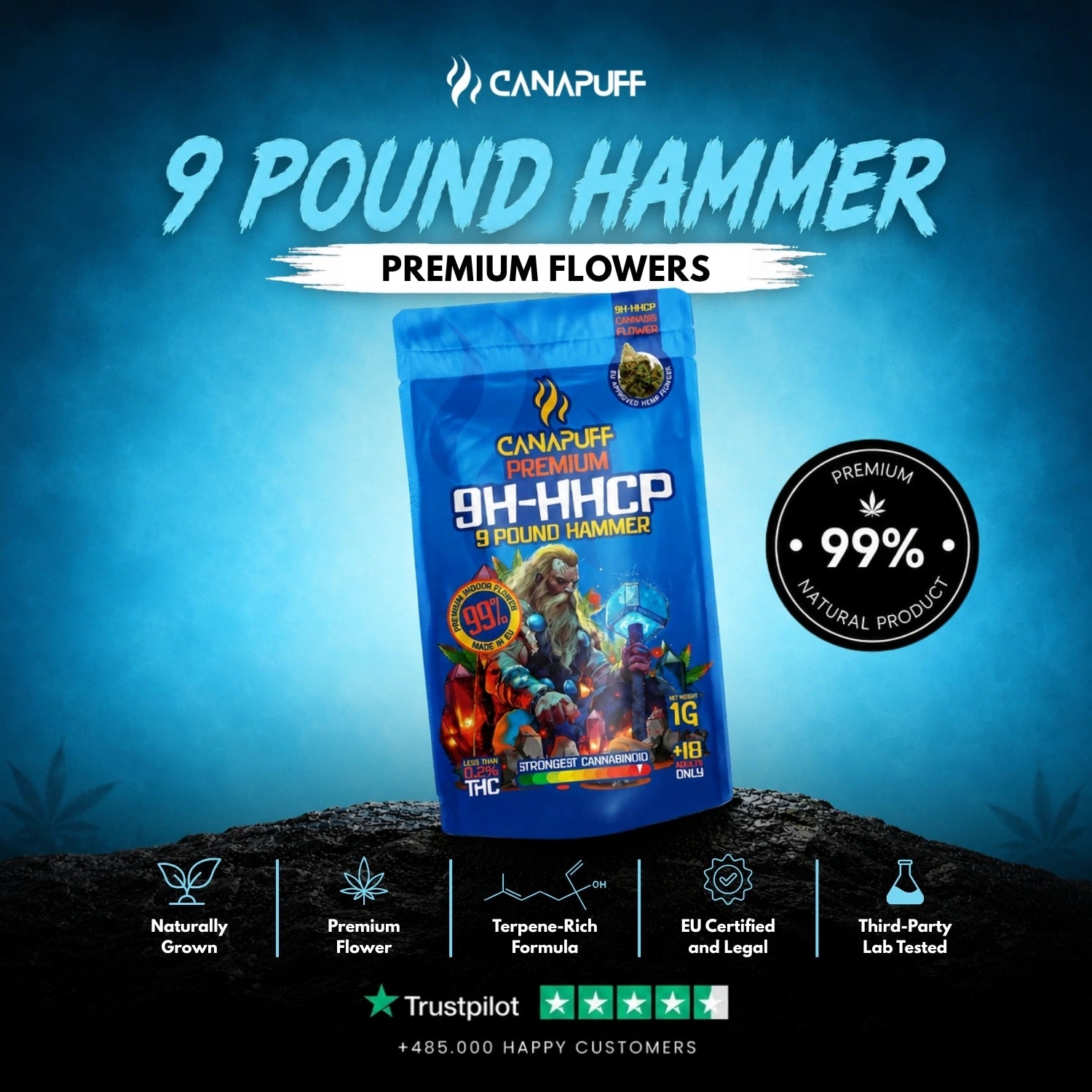 9h-HHCP Fleurs 9 Pound Hammer 99%