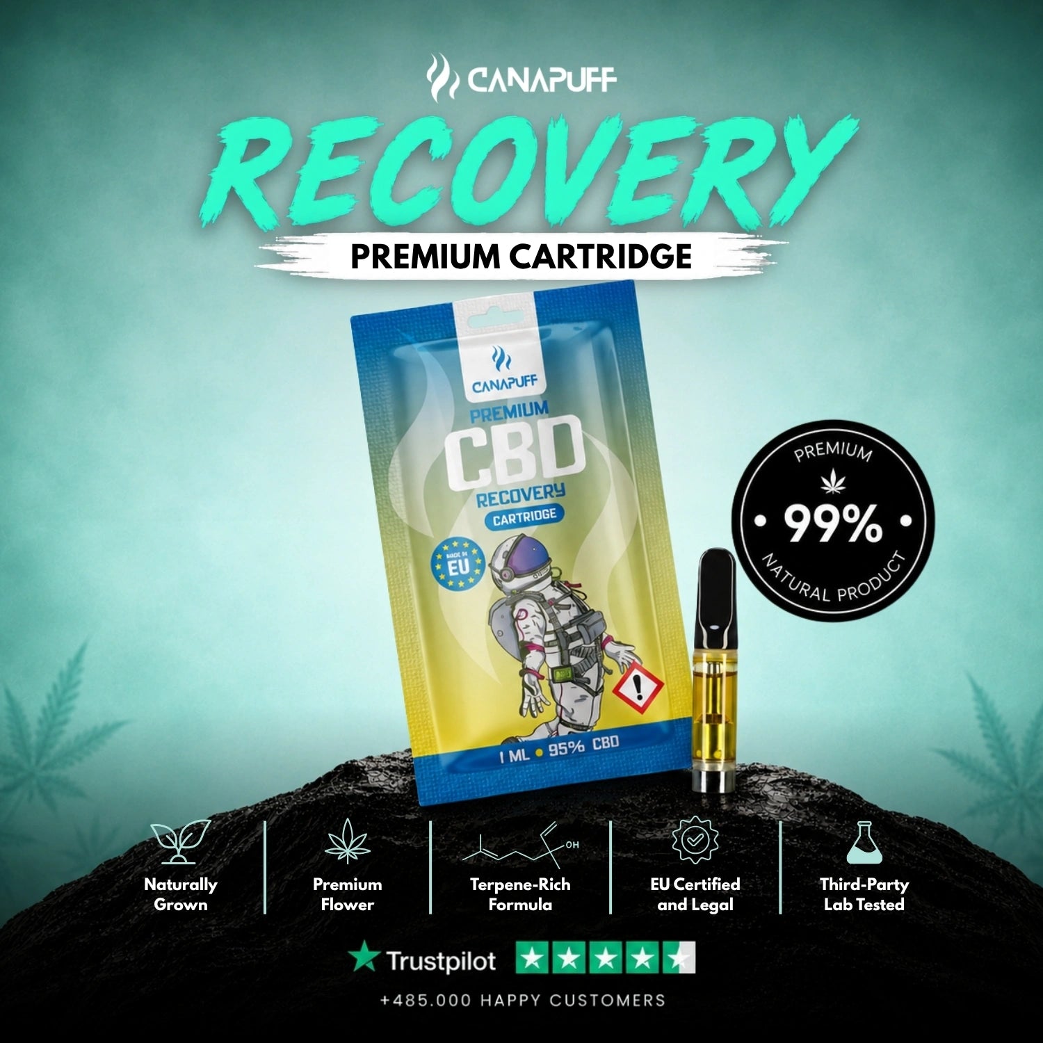 CBD Cartouche Recovery 95 %