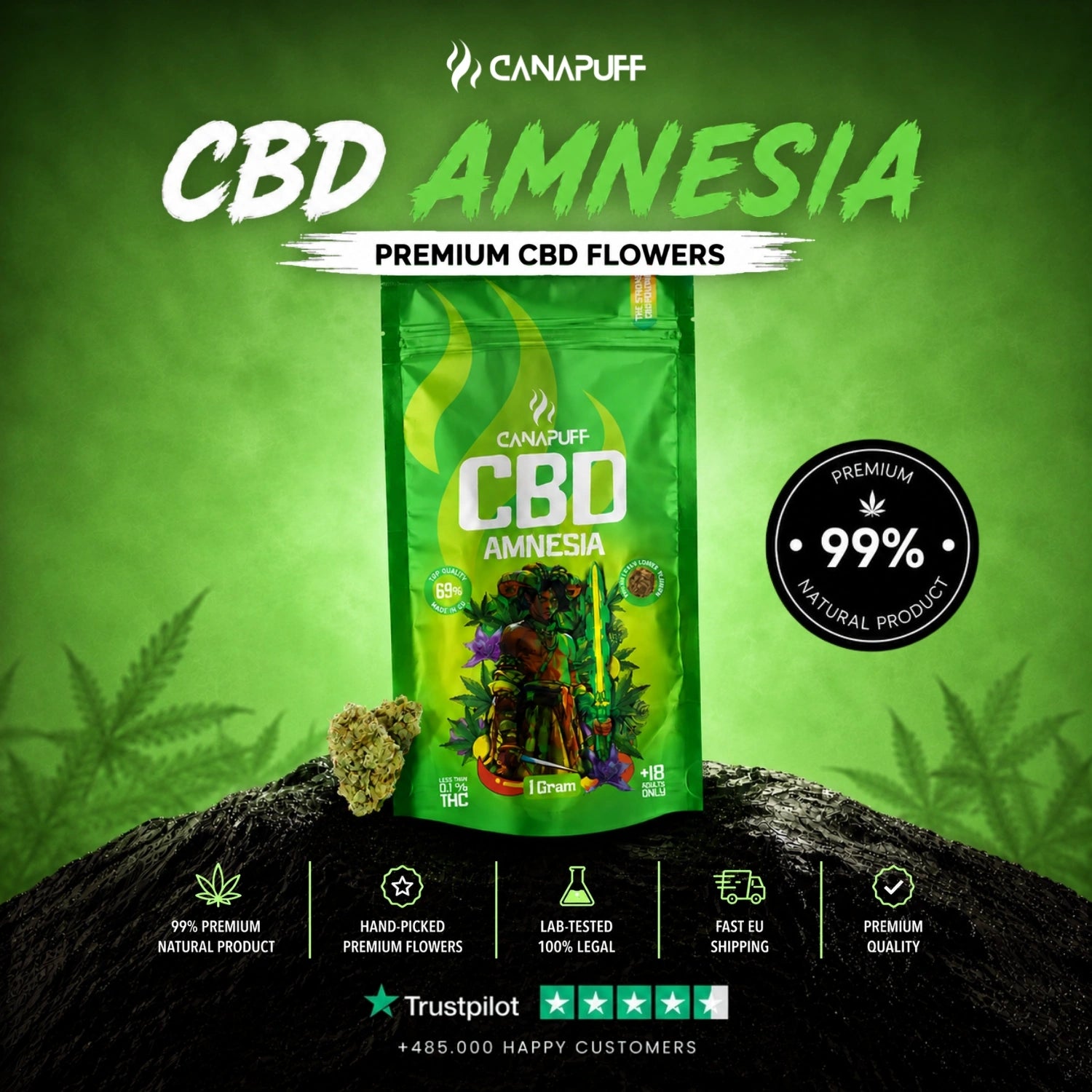 CBD Fleurs Amnesia 69 %