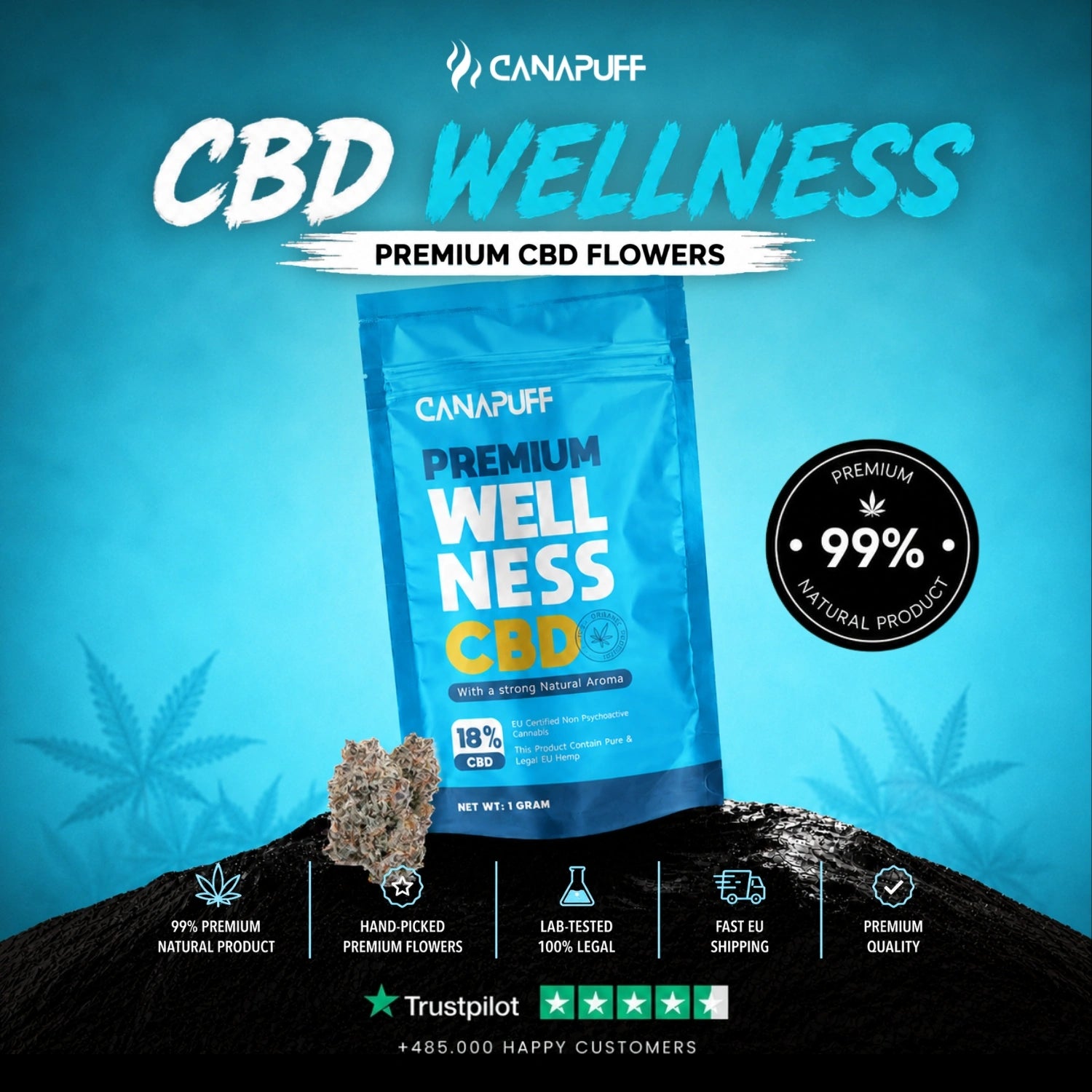 CBD Квіти Wellness 18%