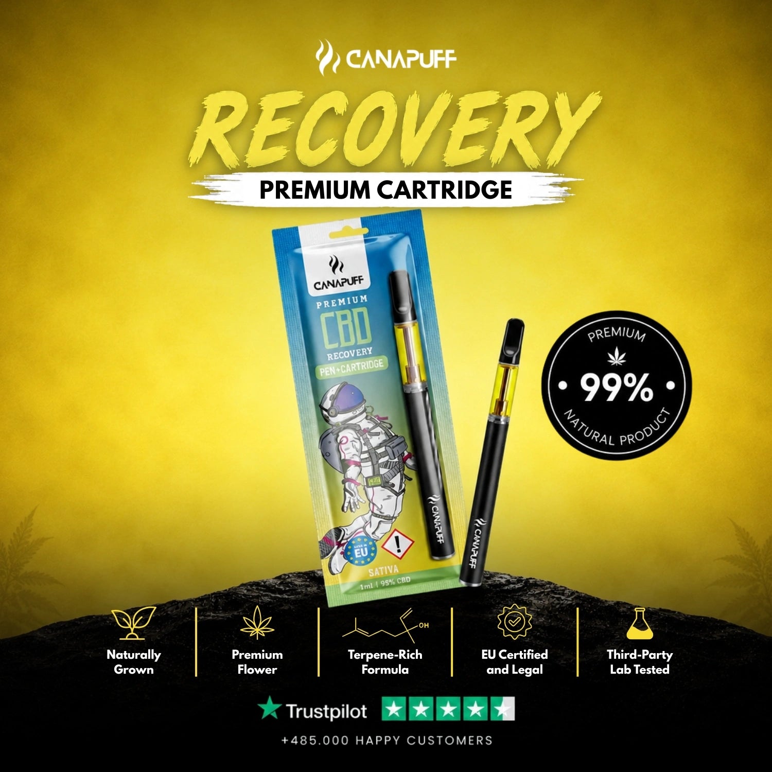CBD Pen+Cartouche Recovery 95 %