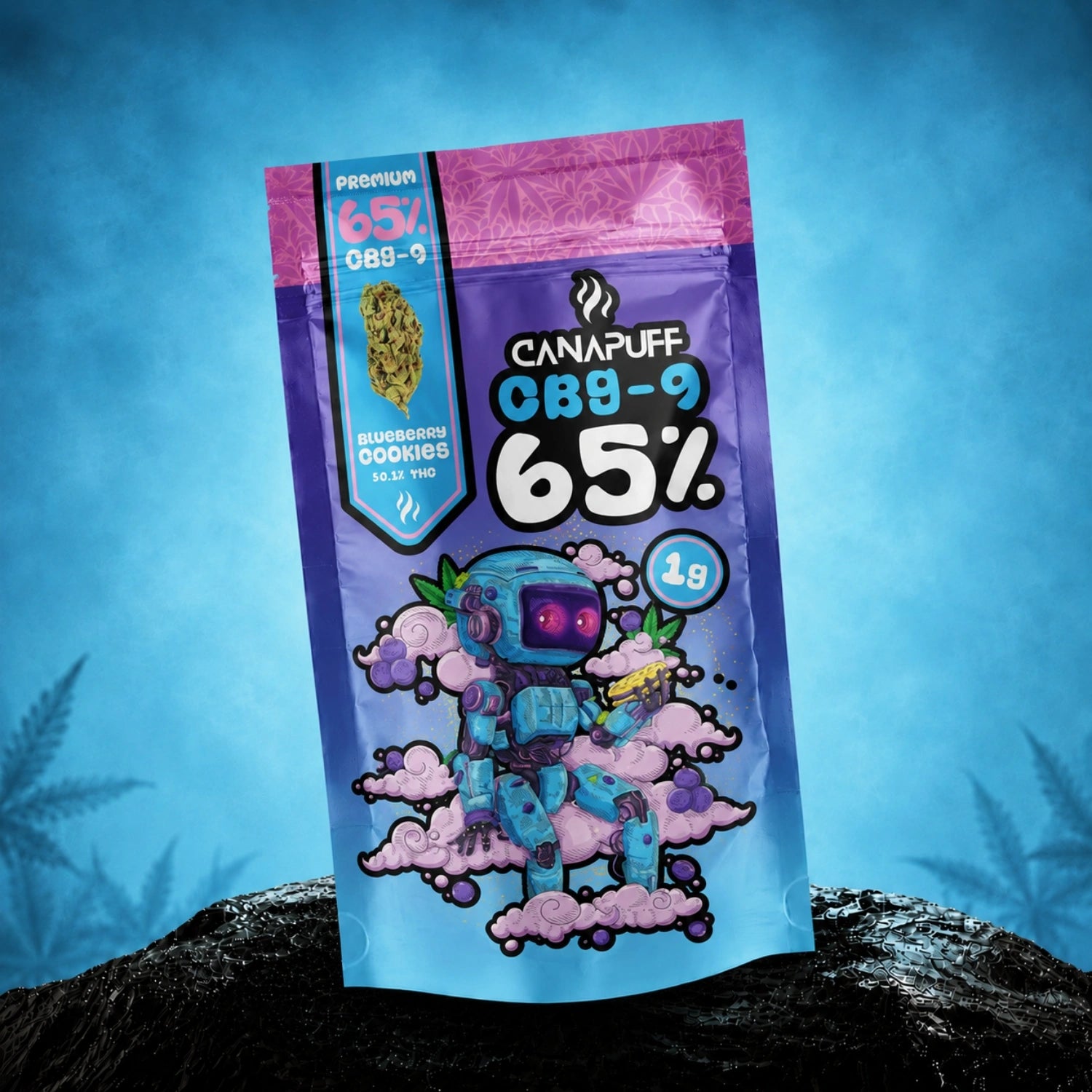 CBG9 flori Blueberry Cookie 65%