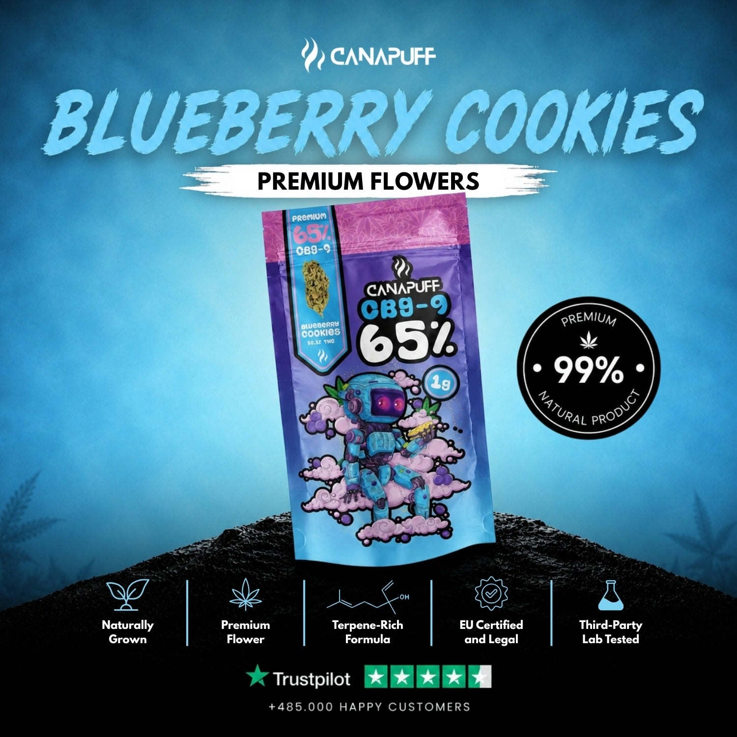 CBG9 Fleurs Blueberry Cookie 65%
