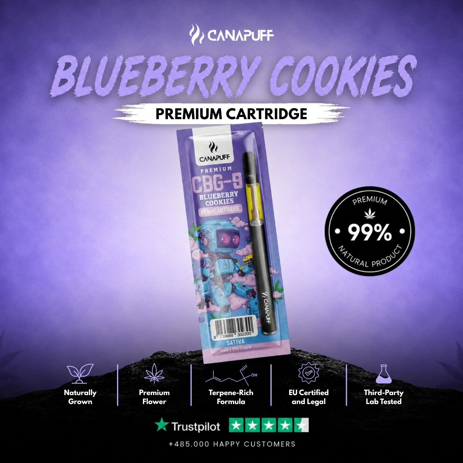 CBG9 Pen+Cartouche Myrtille Cookies 79%