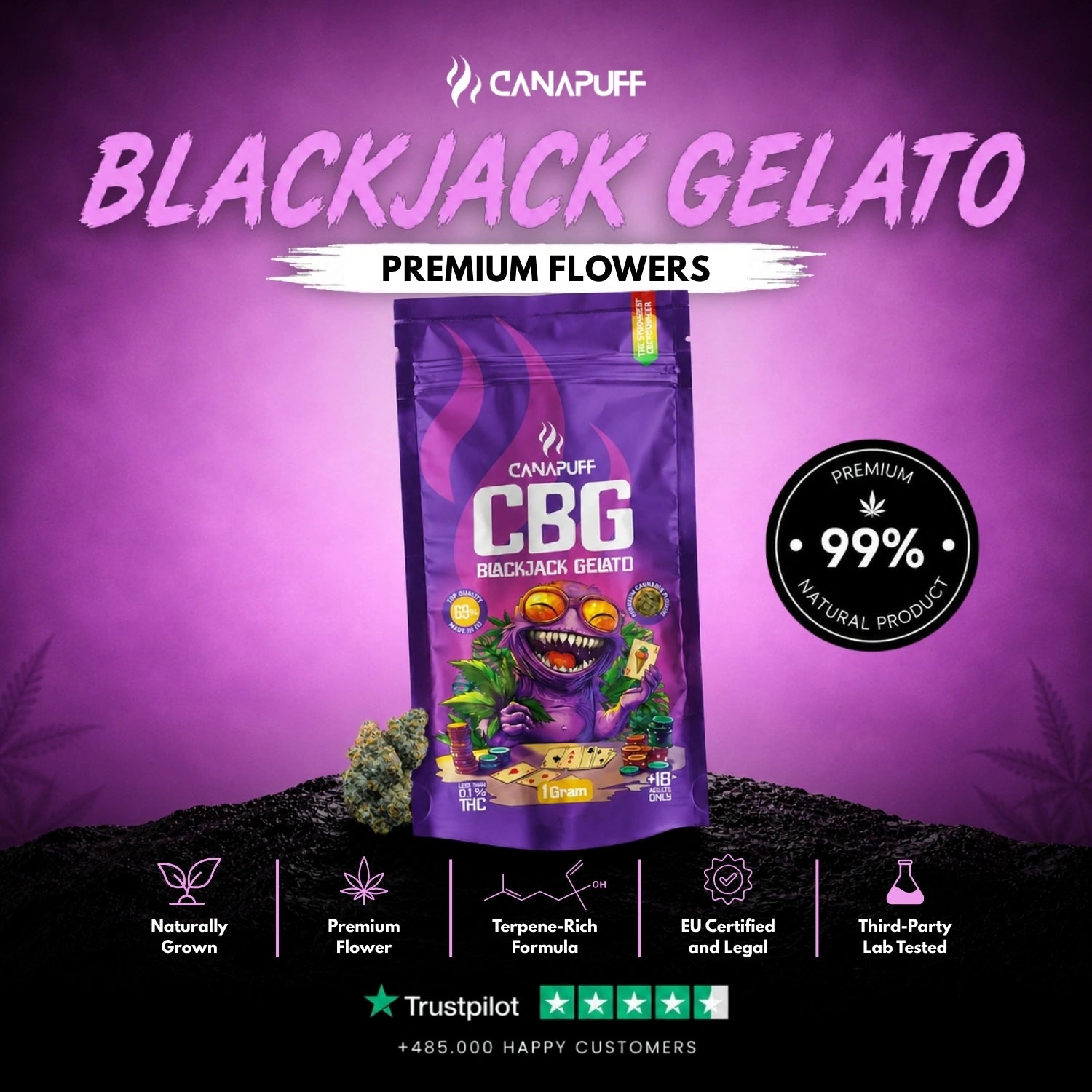 CBG Fleurs Blackjack Gelato 69%