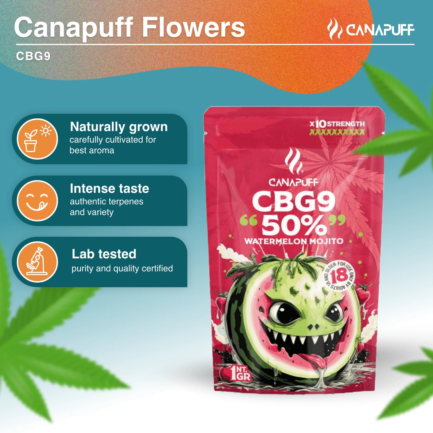 Watermelon Mojito 50% - Fleurs CBG9 - Canapuff