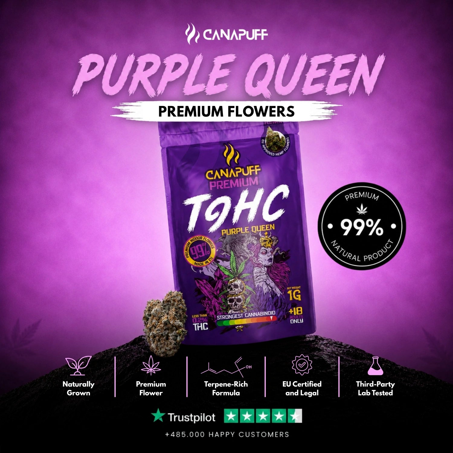 TⳊHC Flowers Purple Queen 99%