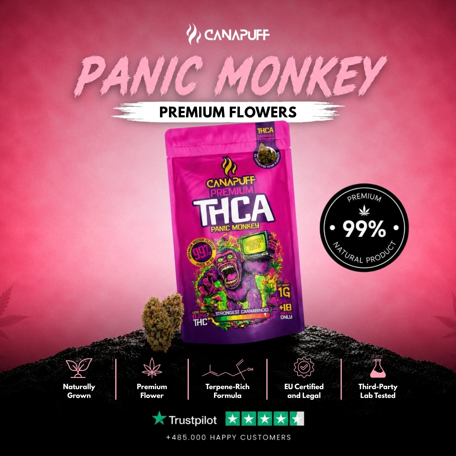 THCA Topskud Panic Monkey 99%