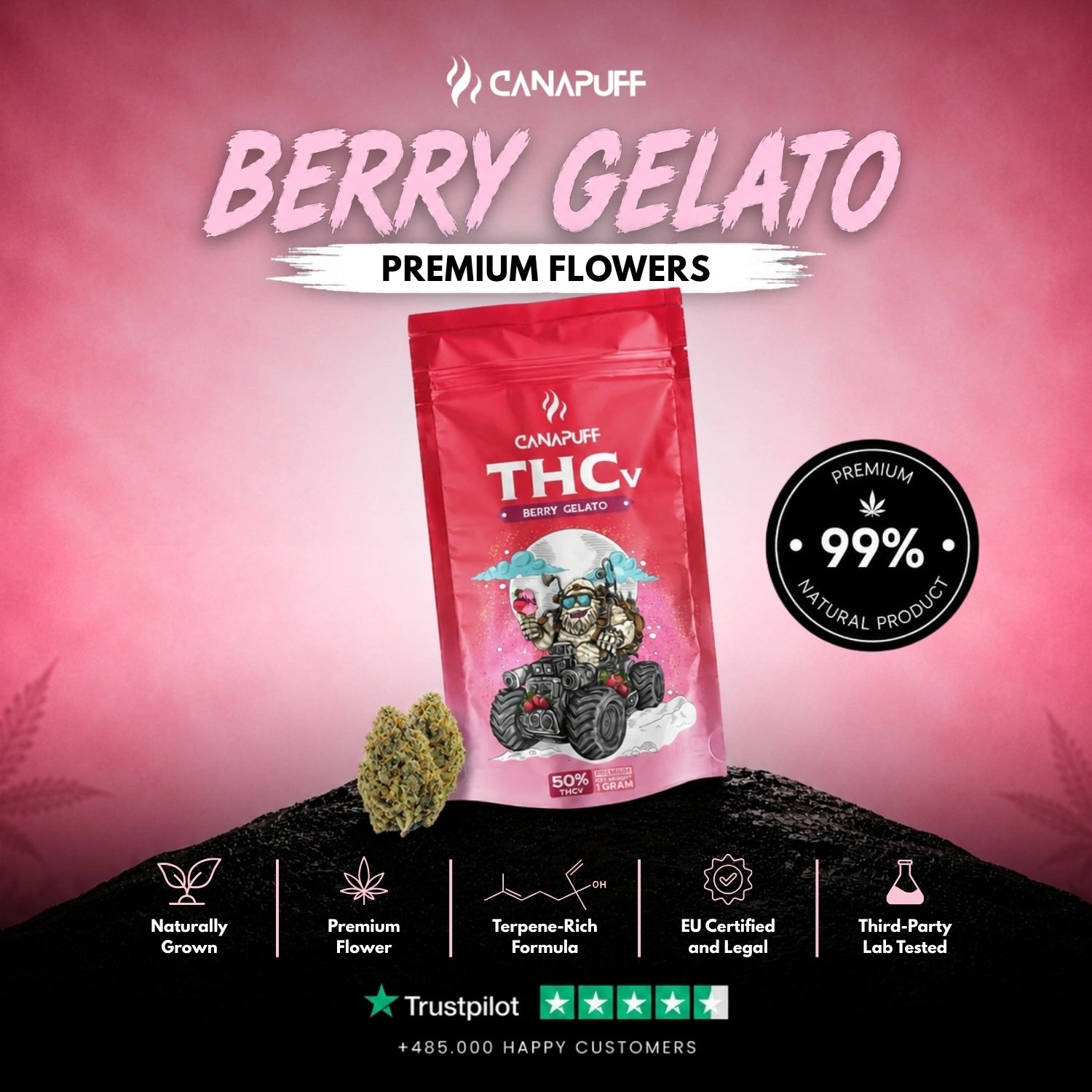 THCv Flowers Berry Gelato 50%