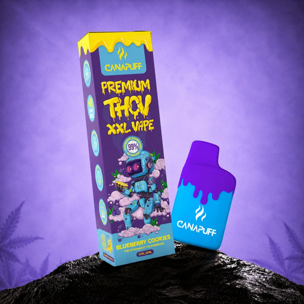 Canapuff THCv XXL Vape Blueberry Cookies 99% 2ml engangspen med æske