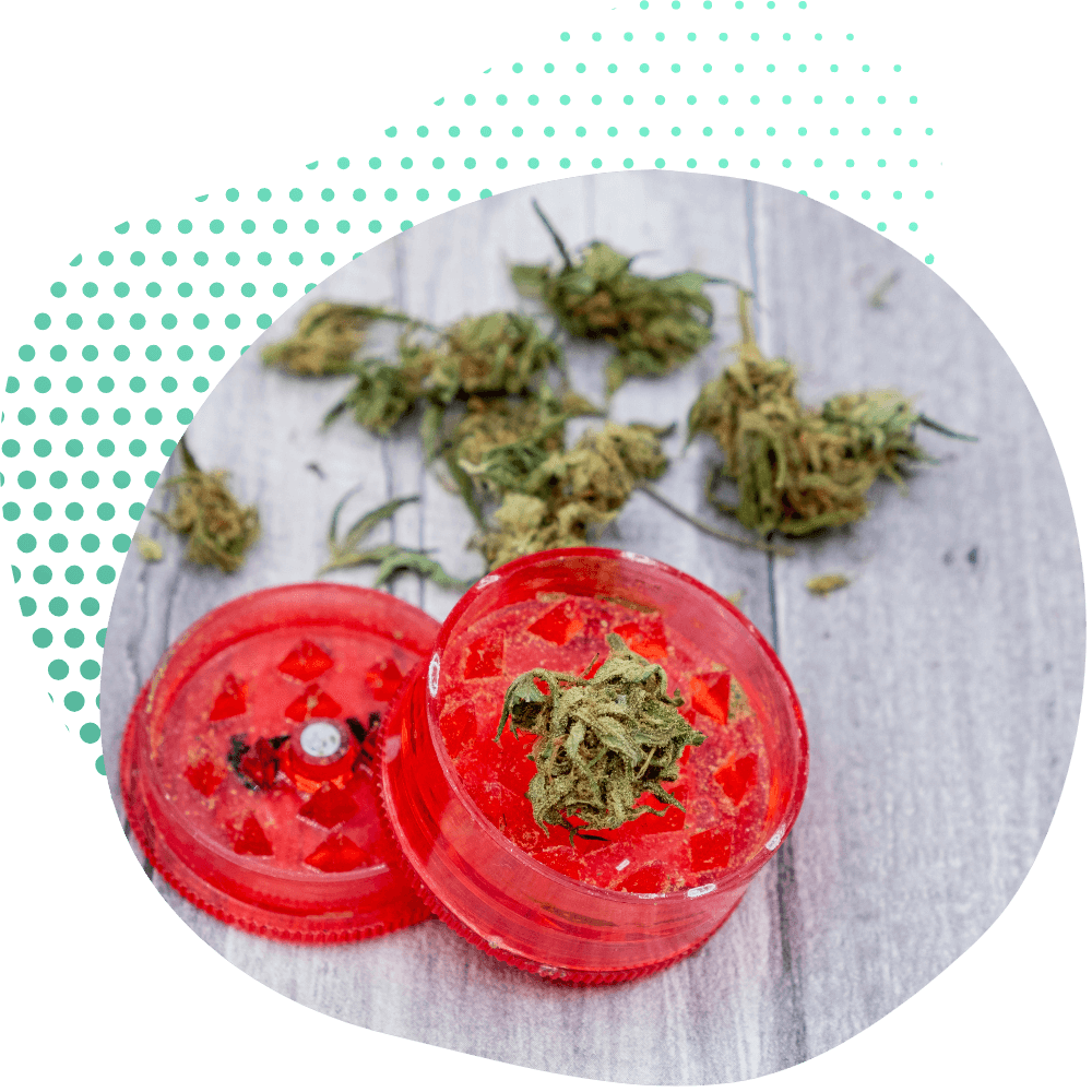 Effetti del Fiore THC