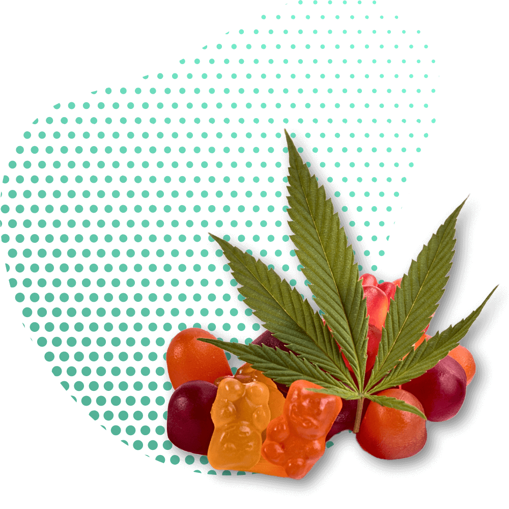 Gummies 10-OH-HHCP premium Canapuff