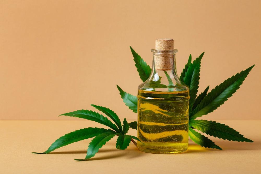 Hur du gör och använder hemmagjord Cannabisolja-Canapuff
