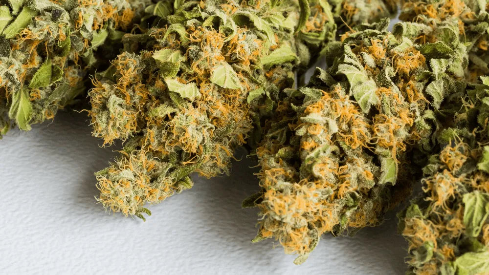 HHC PO le futur de l'innovation Cannabis