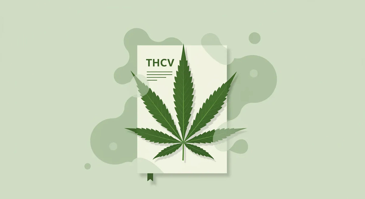 De Complete Gids voor THCv Effecten-Canapuff