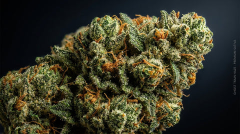 Ghost Train Haze Strain Guide – Virkninger, terpener og oprindelse