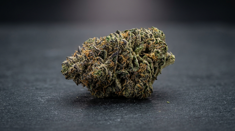 Guida Gorilla Zkittlez Strain: effetti, terpeni e genetica