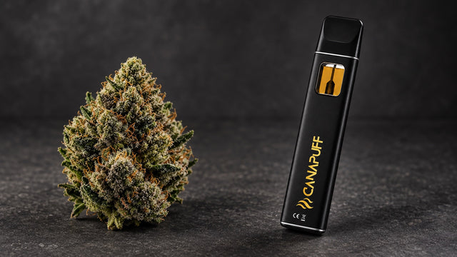 THCA guide: flower, vapes, hash and legal situation