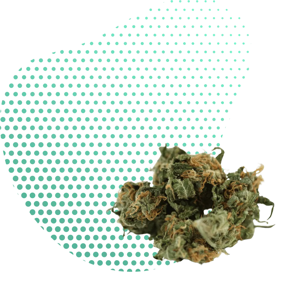 THC-B-Canapuff