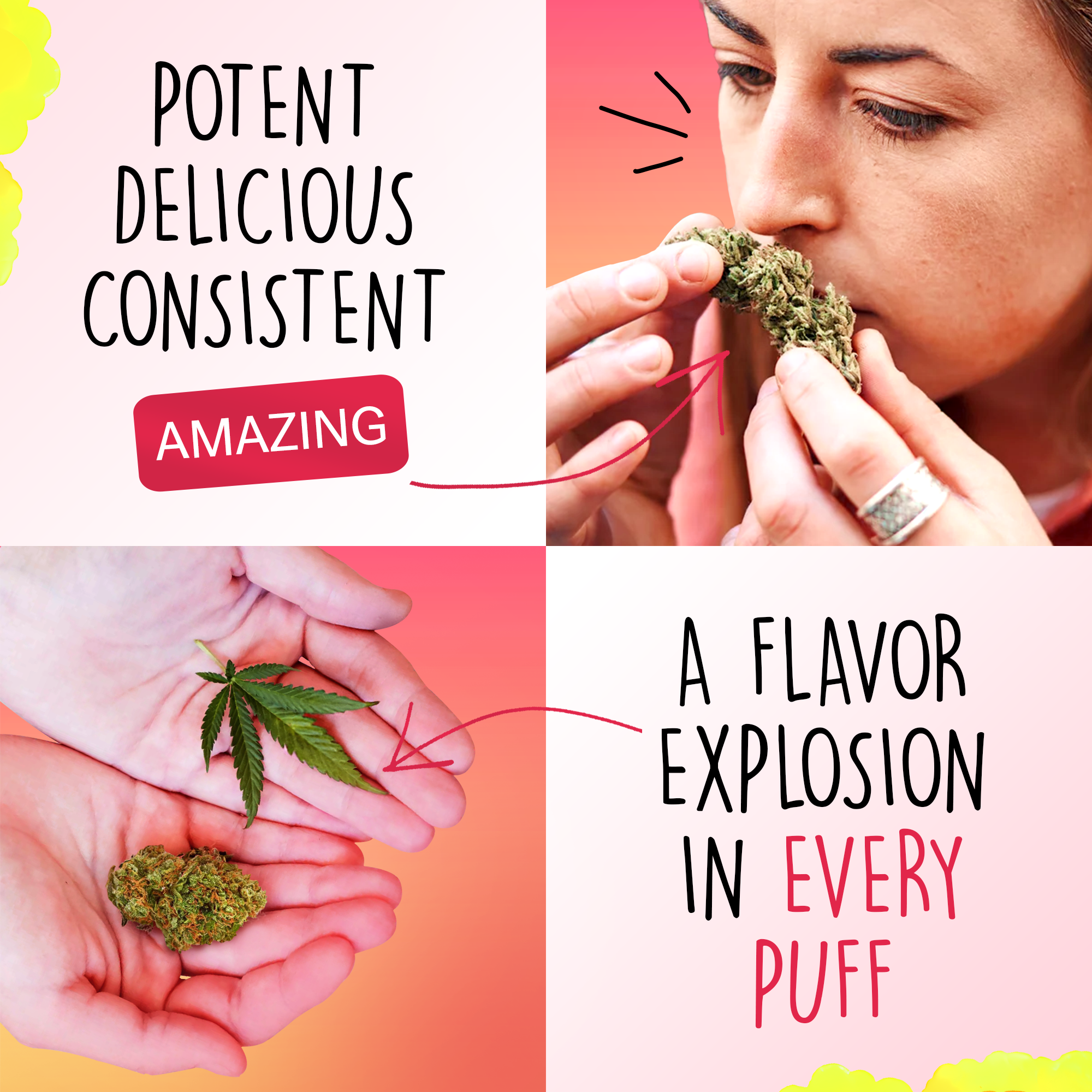 Canapuff - Lemon Cherry Gelato 65% - flori HHC-A-Canapuff