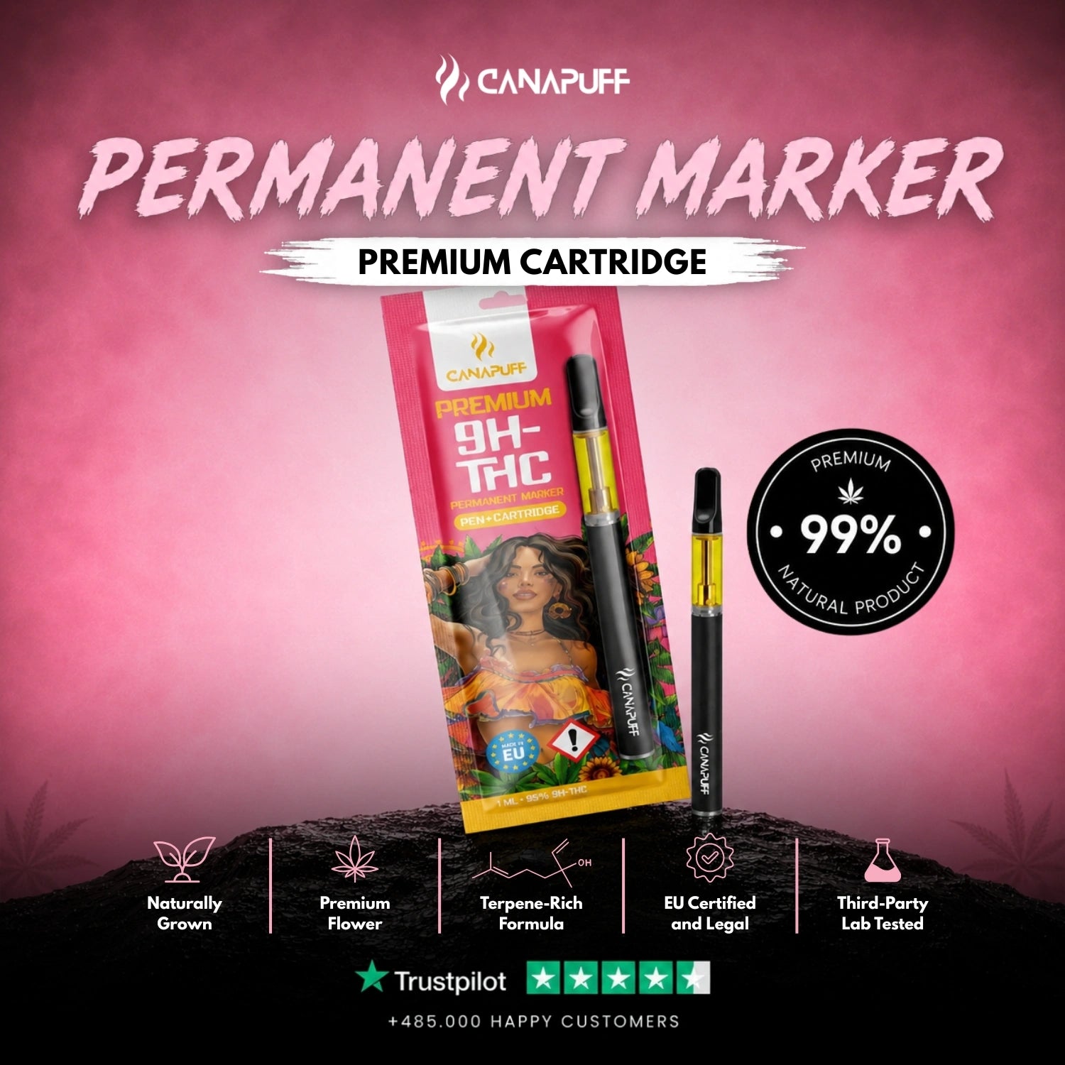 9H-THC Pen+Cartouche Permanent Marker 95%