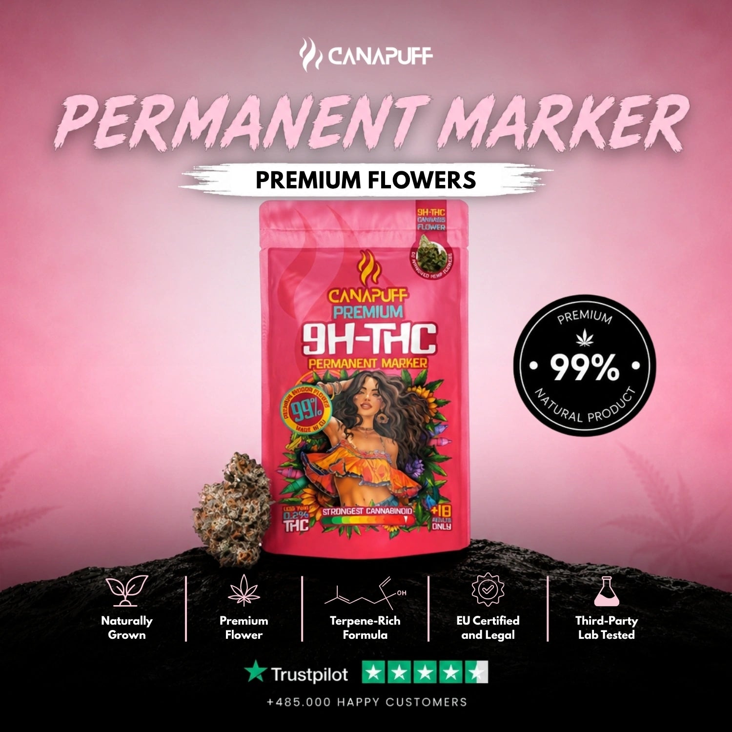 9H-THC Fleurs Permanent Marker 99%