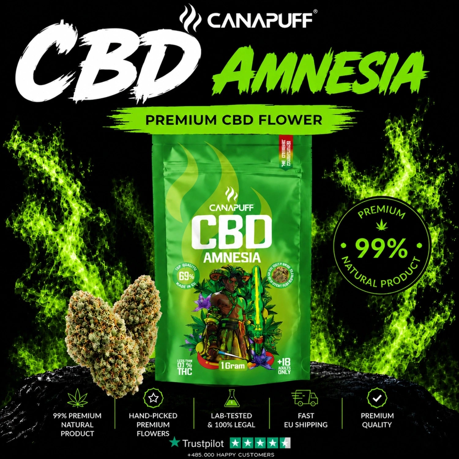 CBD Fleurs Amnesia 69 %
