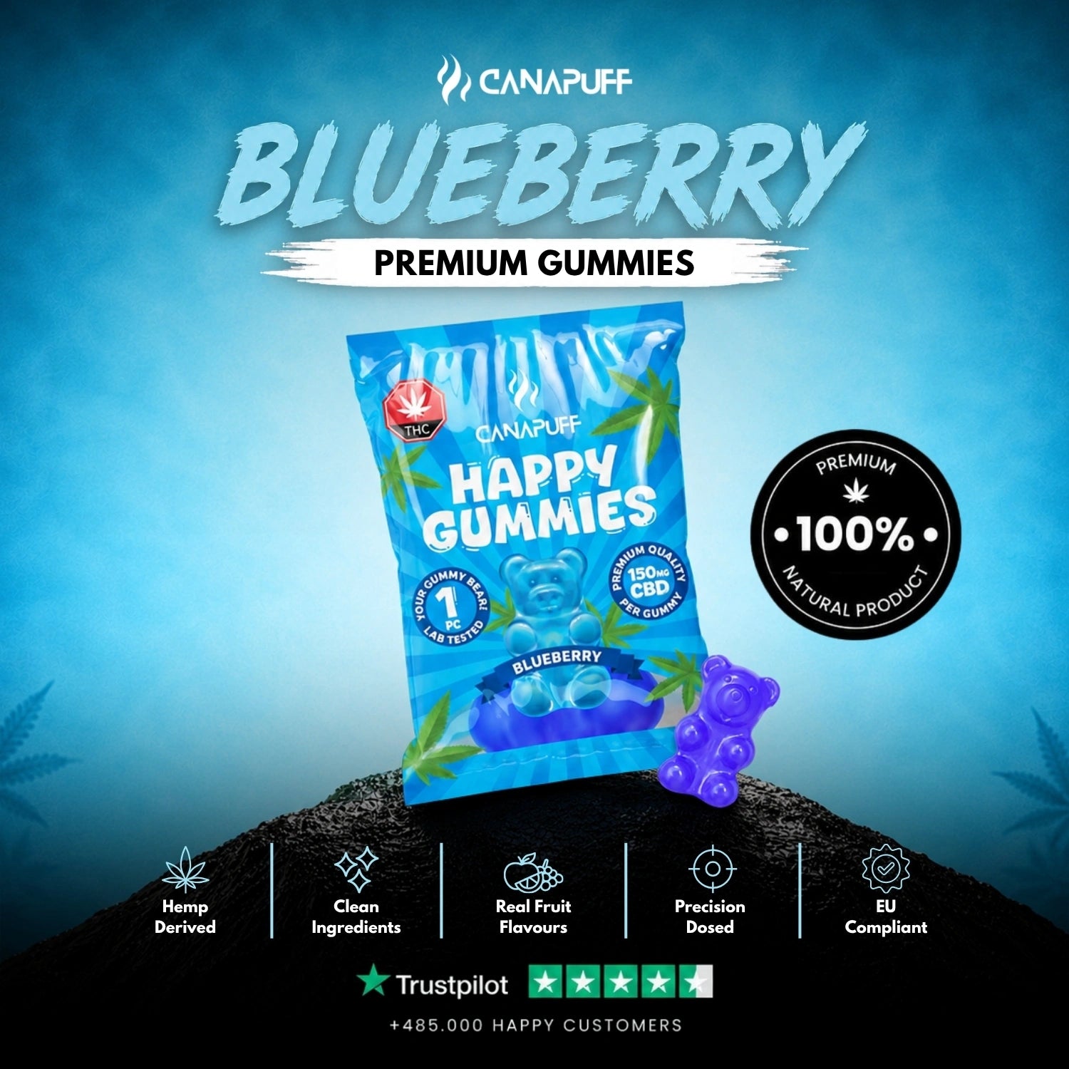 CBD Gummies Myrtille