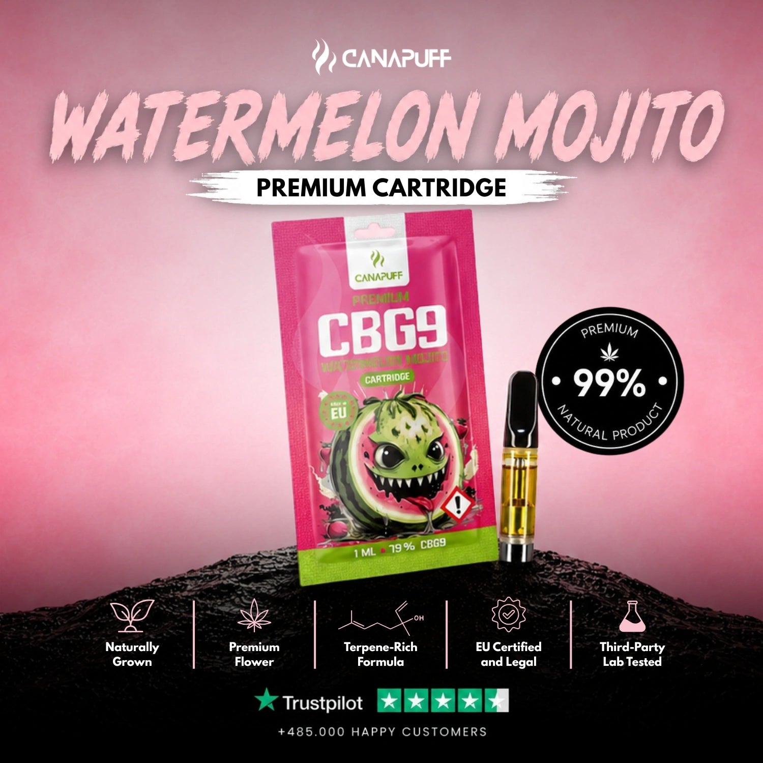 CBG9 Cartouche Watermelon Mojito 79 %
