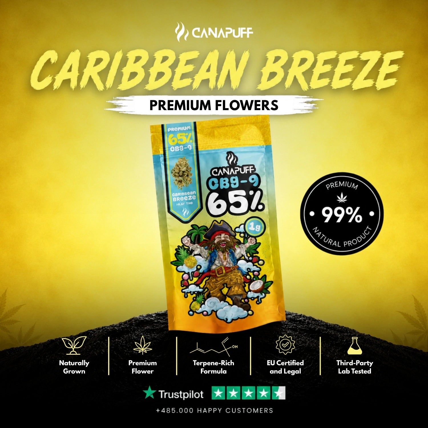 CBG9 Fleurs Caribbean Breeze 65%