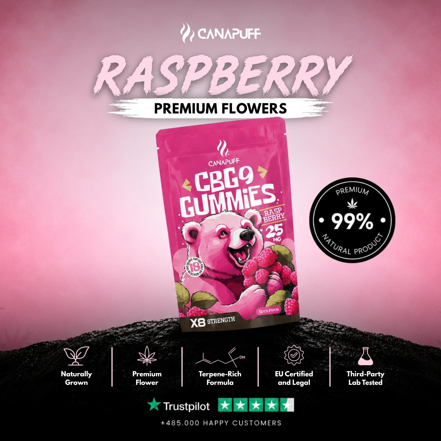 CBG9 Gummies Framboise