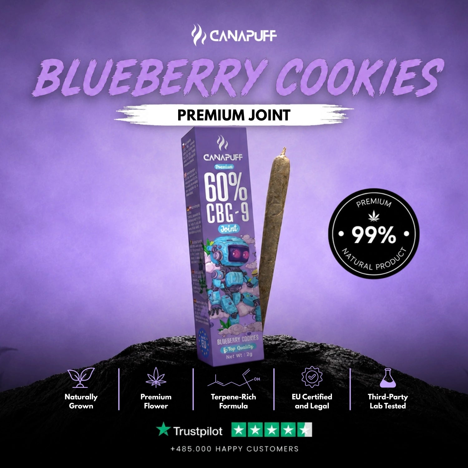 CBG9 Joint Myrtille Cookies 60% 2g
