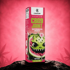 CBG9 Joint Watermelon Mojito 50% 2 g