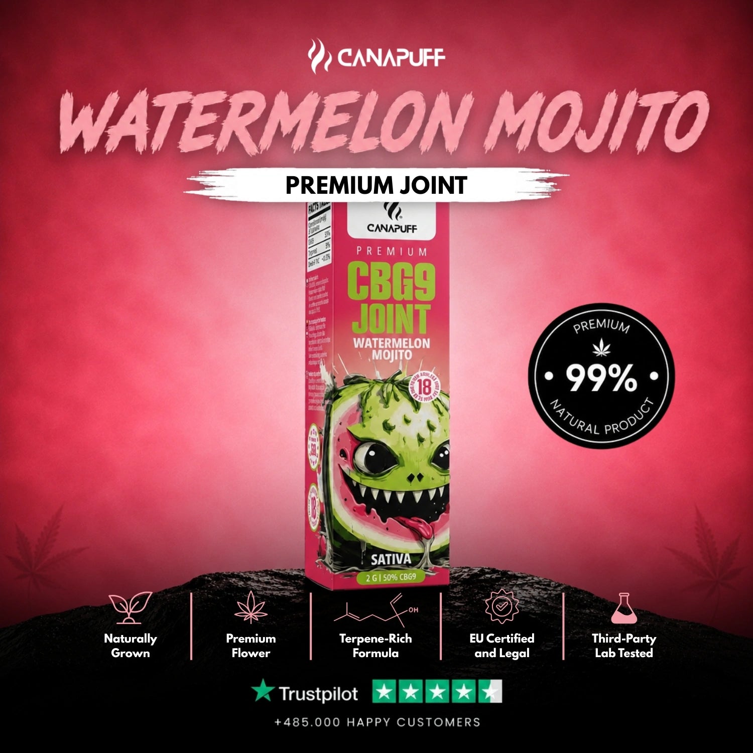 CBG9 Joint Watermelon Mojito 50 % 2 g
