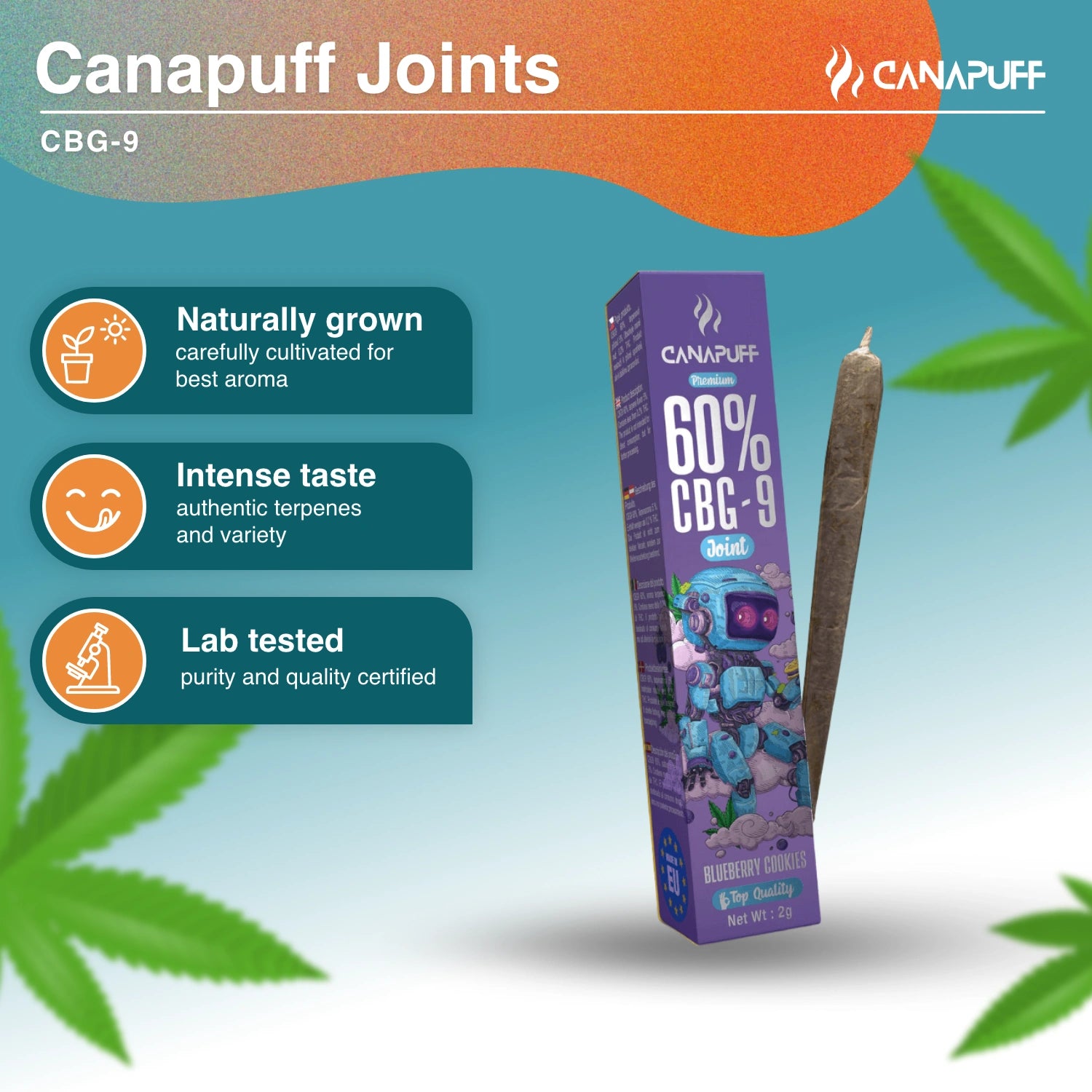 CBG9 джойнт 60% Blueberry Cookies 2г - Canapuff