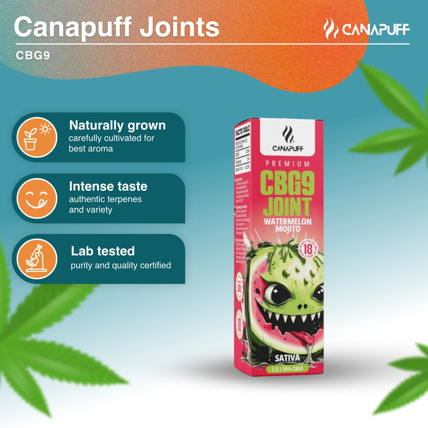 CBG9 Porro 50% Watermelon Mojito 2g - Canapuff
