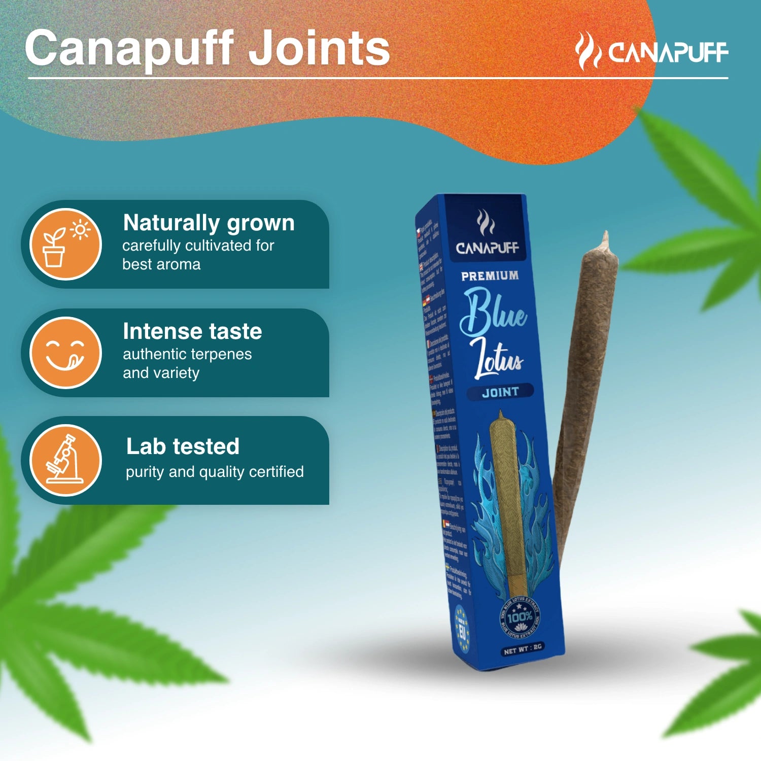 Canapuff Mavi Lotus Joint 2g - Canapuff