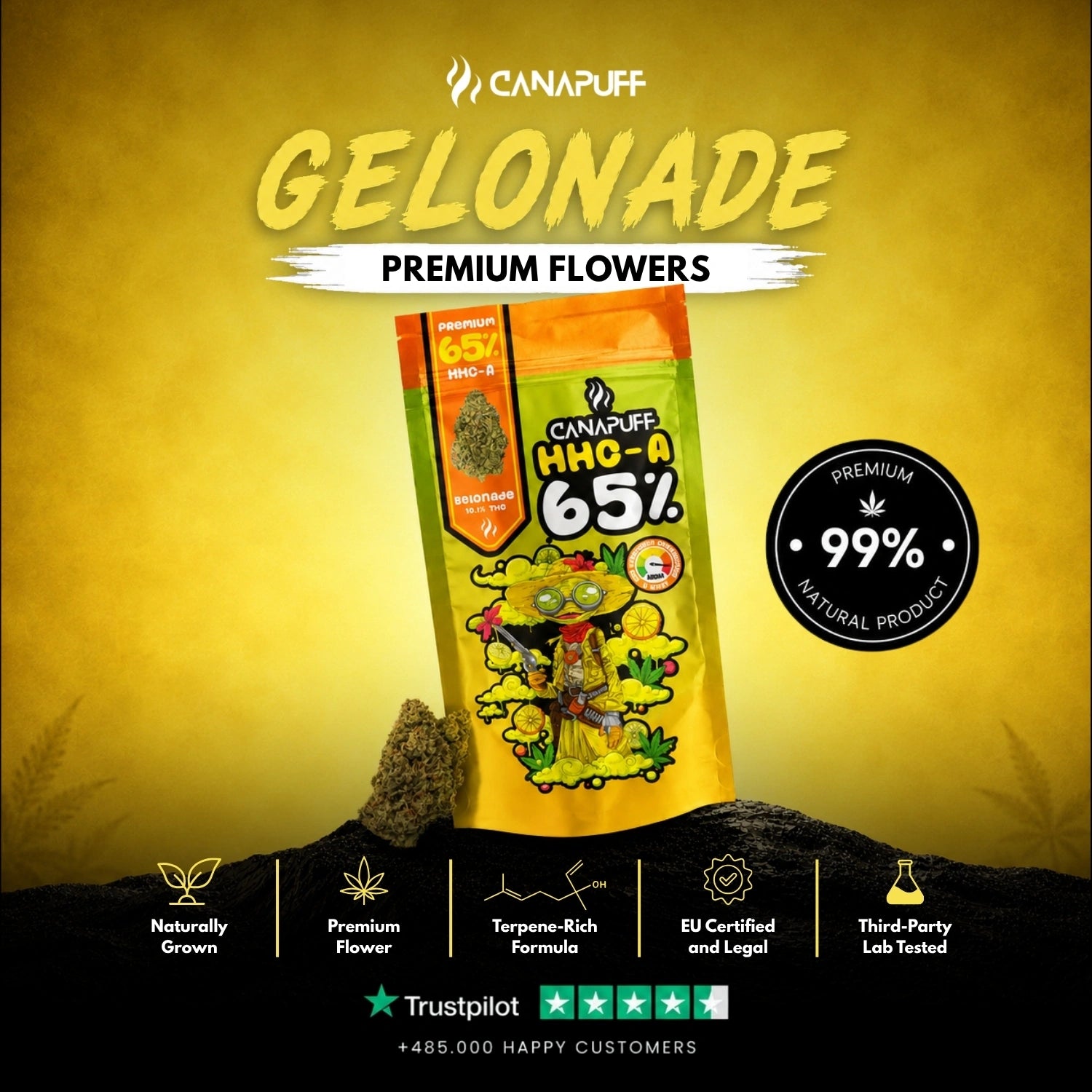 HHC-A Fleurs Gelonade 65%