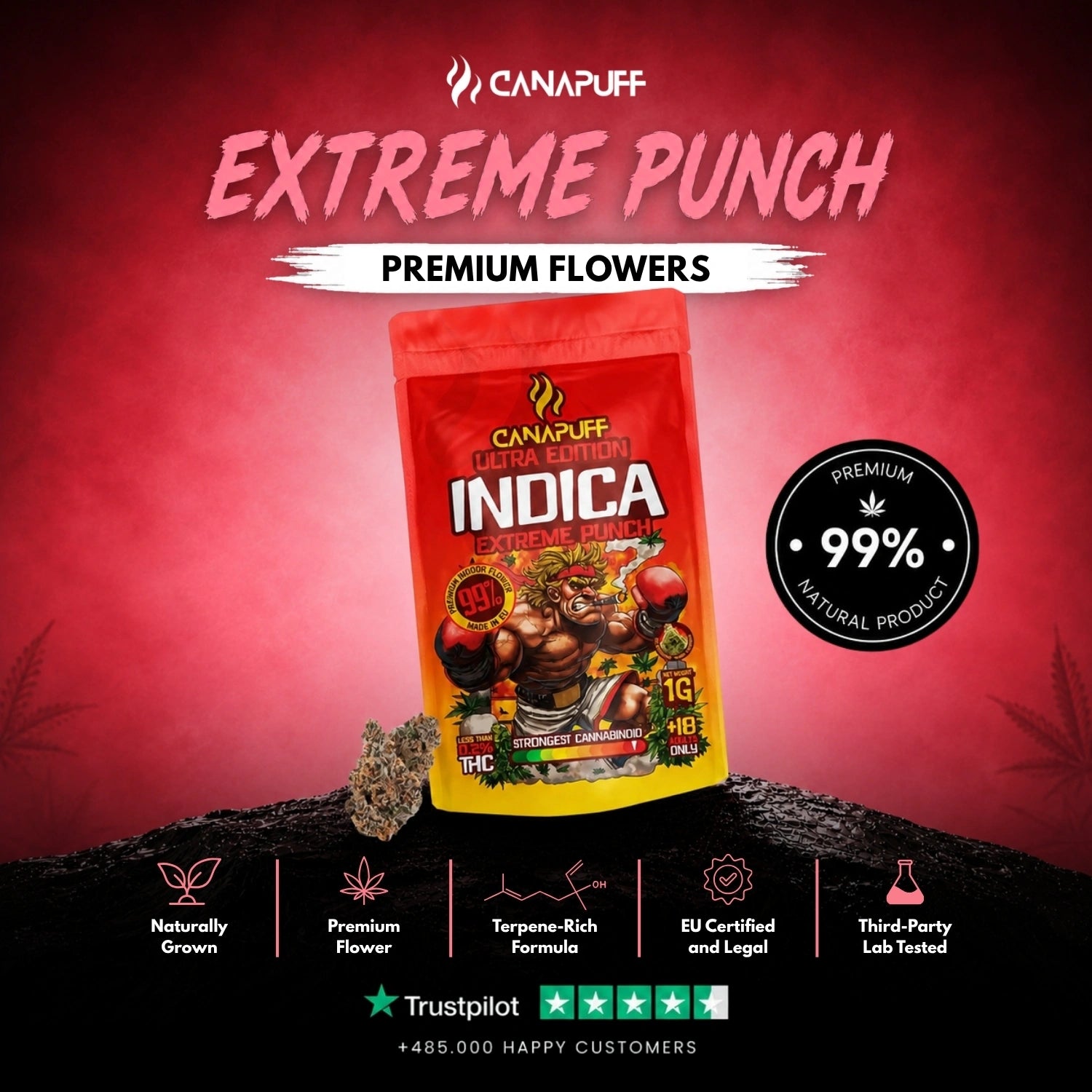 Fleurs Indica Extreme Punch Ultra Edition 99 %