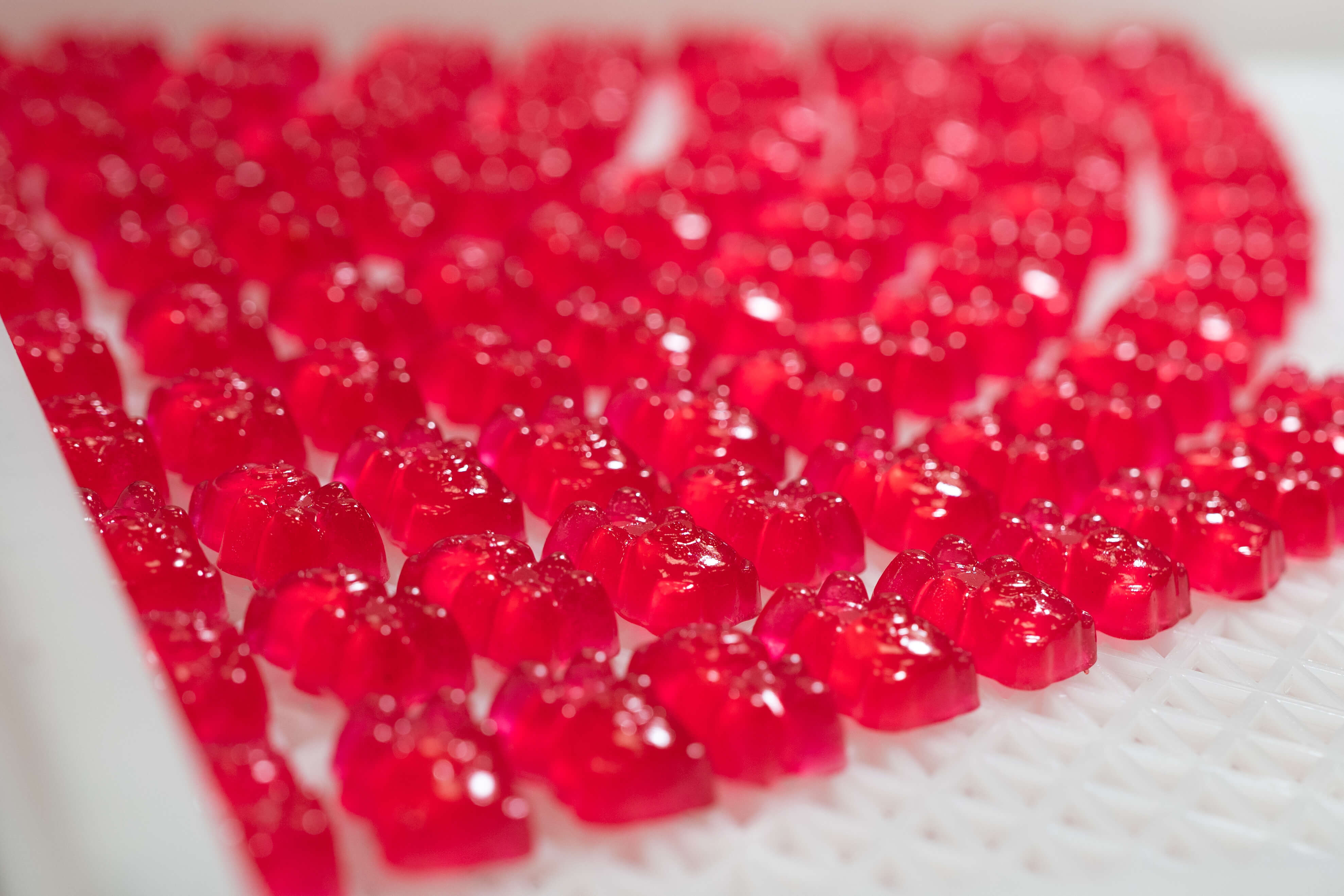 THC Gummies bliver lavet