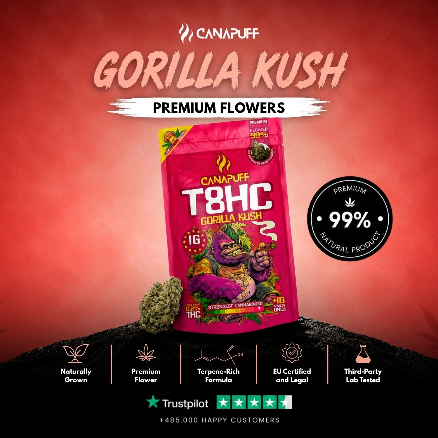 T8HC Fleurs Gorilla Kush 99%