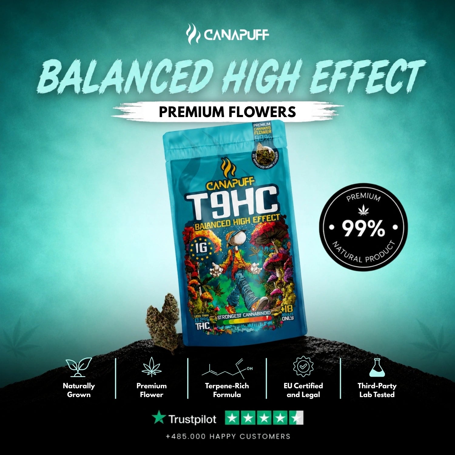 T9HC Fleurs Balanced 99 %