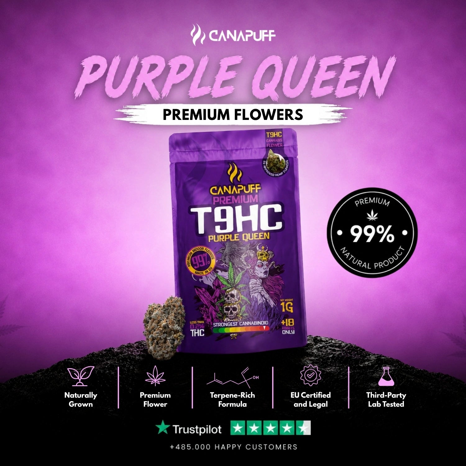 Fleurs T9HC Purple Queen 99 %