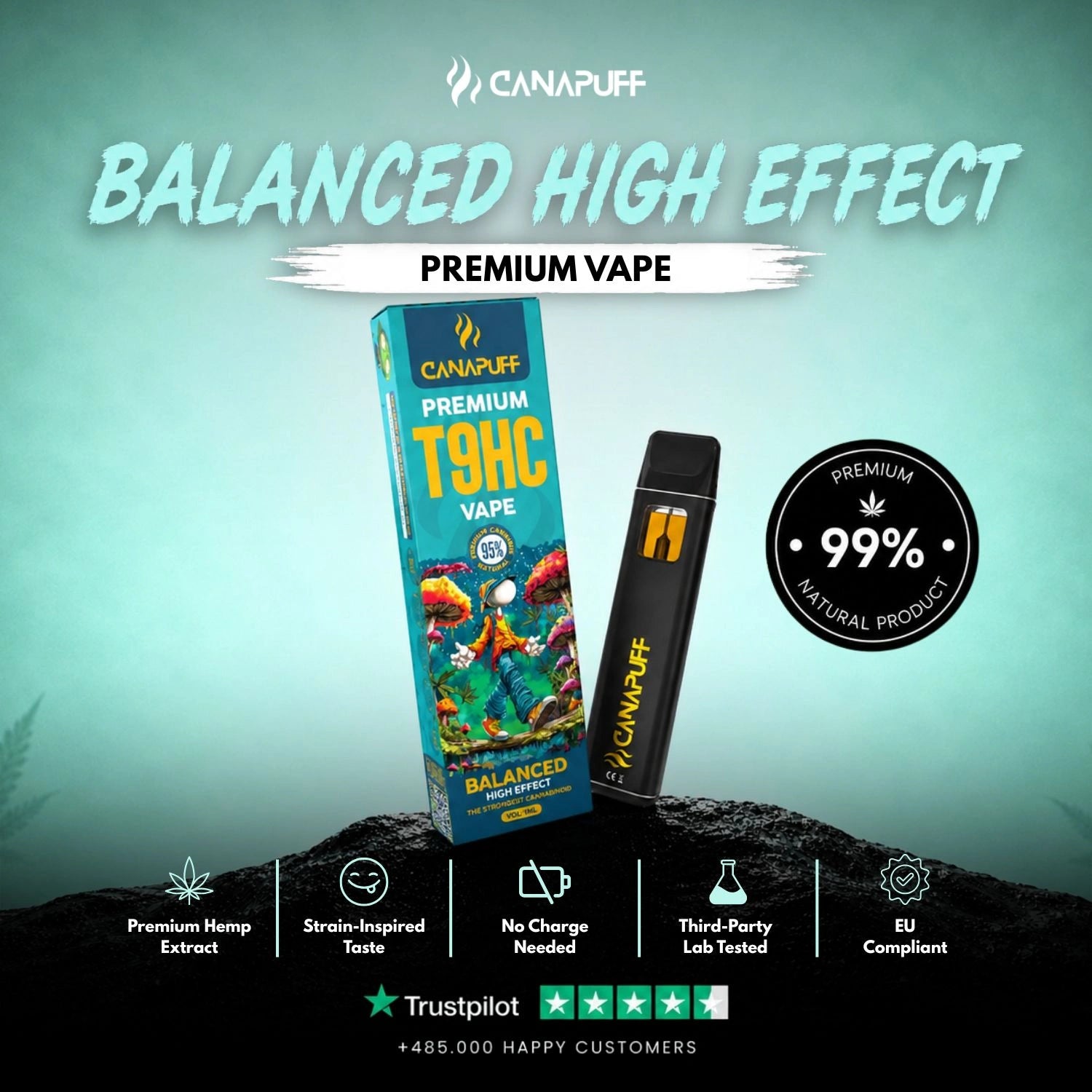 T9HC Vape Balanced 95 % 1 ml